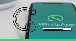 actualizar whatsapp