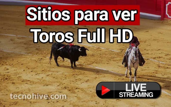 See live bulls